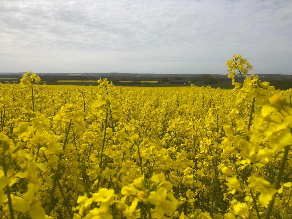 Rosloevs Gard Vackert Boende I En Naturskoen Miljoe. Flyinge Exteriér fotografie