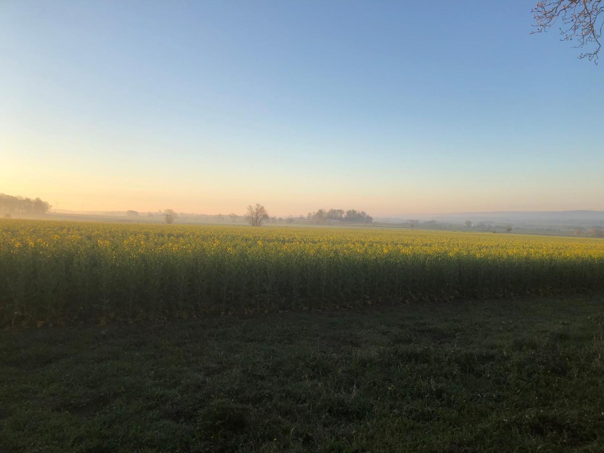 Rosloevs Gard Vackert Boende I En Naturskoen Miljoe. Flyinge Exteriér fotografie